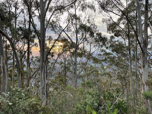 View from Mt St Leonard